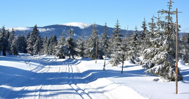 Zdroj: Ceny Olomouckého kraje 