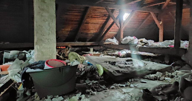 Nevhodné podmínky, kde feny spaly, zdroj: SVS