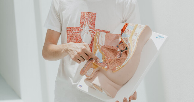 ilustrační foto, zdroj: Loono, autor: Radek Vebr