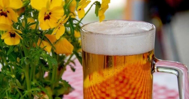 Zdroj: Letní kino Olomouc 