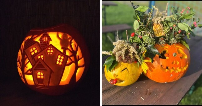 Zdroj: Olomoucký Report