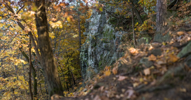 Obrova noha, zdroj: Olomoucký kraj