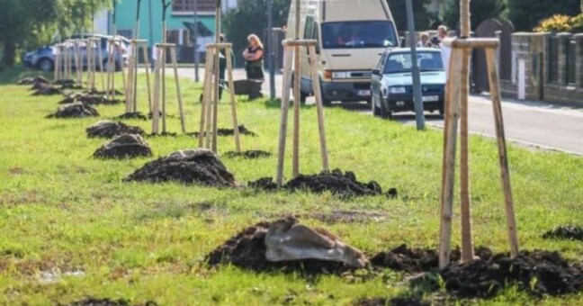 Ilustrační foto, zdroj: Jan Andreáš