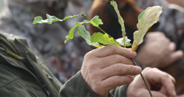 Zdroj: Blanka Martinovská, Město Olomouc