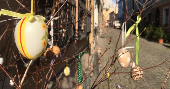 Zdroj: Olomoucký Report