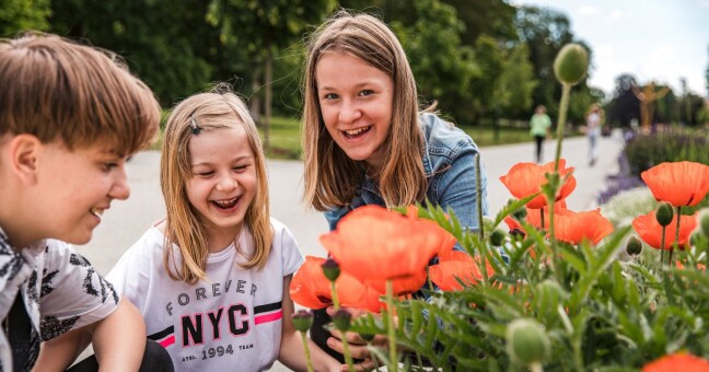 Zdroj: Magistrát města Olomouce/Jan Andreáš