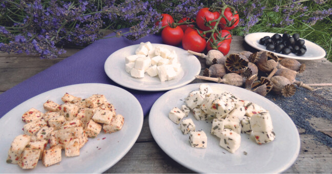 zdroj: ZD Senice na Hané