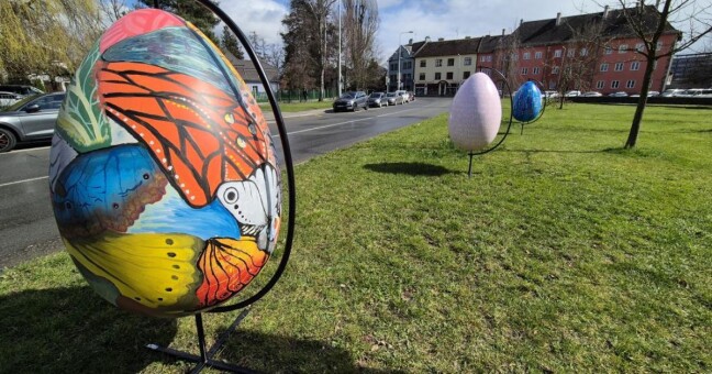 Zdroj: Město Šumperk