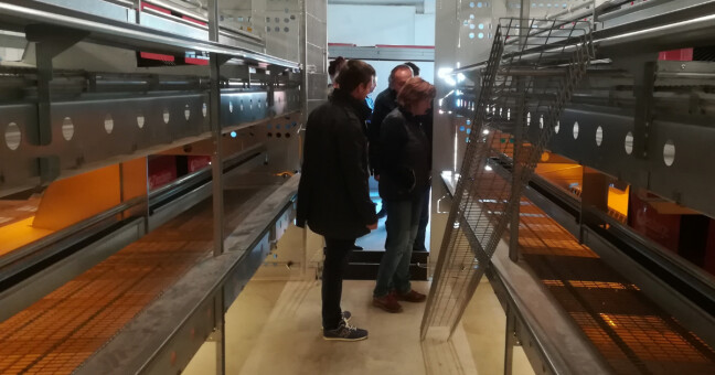 zdroj: ZD Senice na Hané