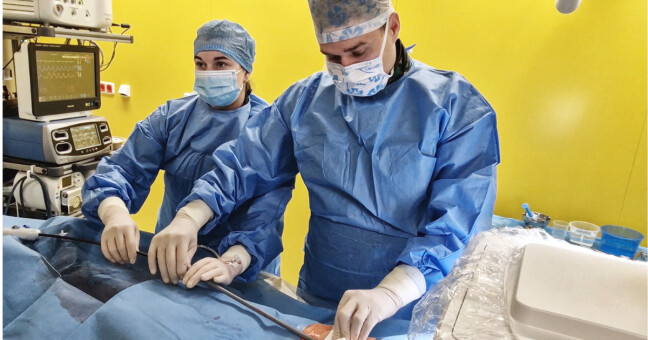 Kardiostimulátor FNOL, zdroj: FNOL 