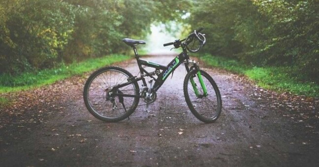 Ilustrační foto. Zdroj: Pixabay