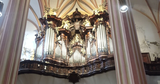 zdroj: Olomoucký report 