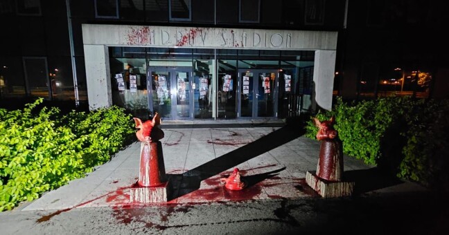 Zdroj: Michal Kvasnica/ Deník sport