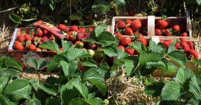 Ilustrační foto: Olomoucký Report