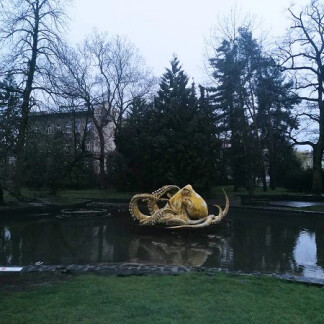 foto: Report