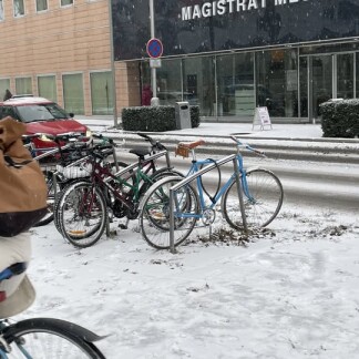 zdroj: Tomáš Pejpek