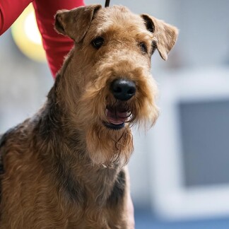 Foto: Emma Růčková