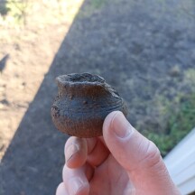 zdroj: Archeologické centrum Olomouc