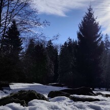 zdroj: Horské lázně Karlova Studánka
