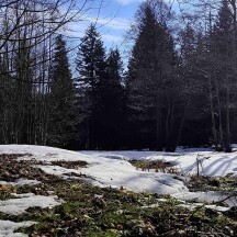 zdroj: Horské lázně Karlova Studánka