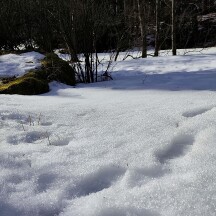 zdroj: Horské lázně Karlova Studánka