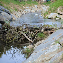 zdroj: město Olomouc