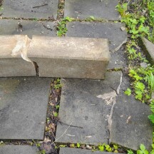Zdroj: spolek Lubavia