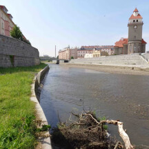 zdroj: město Olomouc
