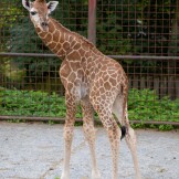 zdroj: ZOO Olomouc