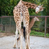 zdroj: ZOO Olomouc