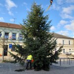 Přerovský vánoční strom přijel z nedalekých Troubek