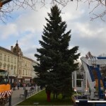 Zatím neozdobený strom v Prostějově