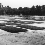 Historické fotografie Rozária