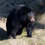 Zdroj: Zoo Olomouc