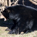Zdroj: Zoo Olomouc