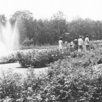 Zdroj: Flora Olomouc