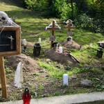 Zdroj: Zoo Olomouc