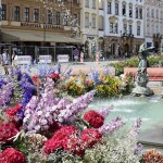Foto: Olomoucký Report