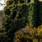 zdroj: Olomoucký Report