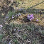 foto: Olomoucký Report