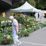 Letní Flora Olomouc