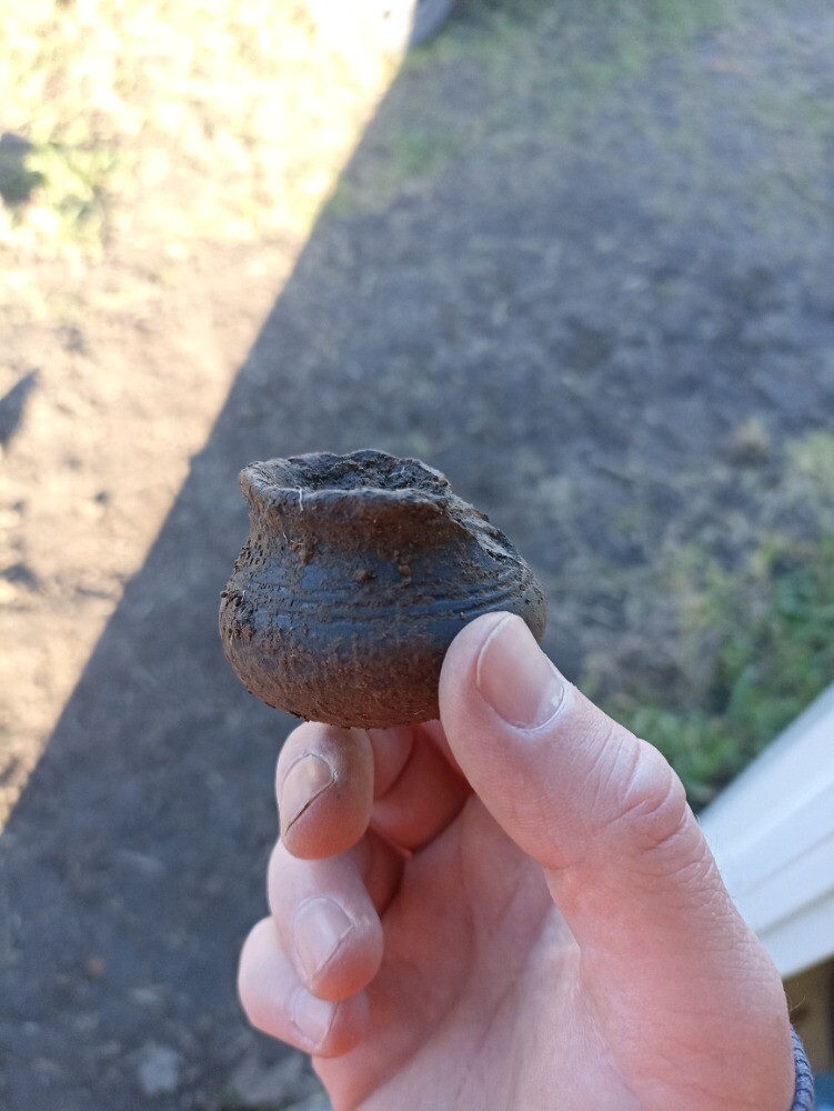 zdroj: Archeologické centrum Olomouc