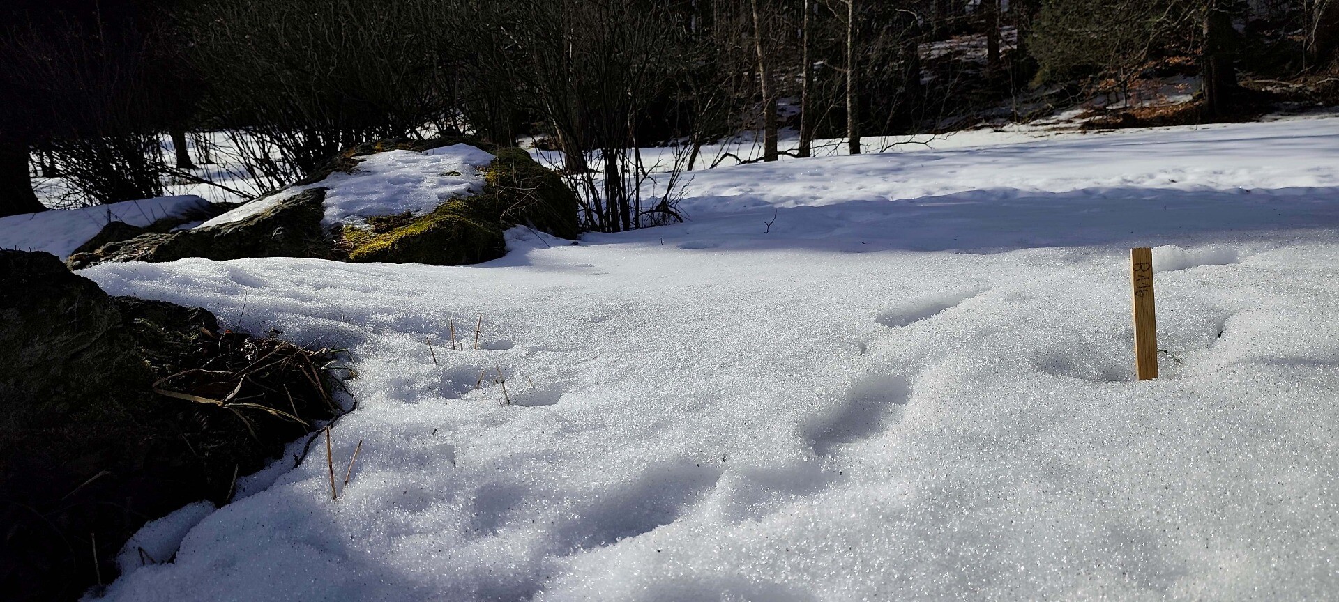 zdroj: Horské lázně Karlova Studánka