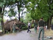 zdroj: Kulturní Horka z.s.
