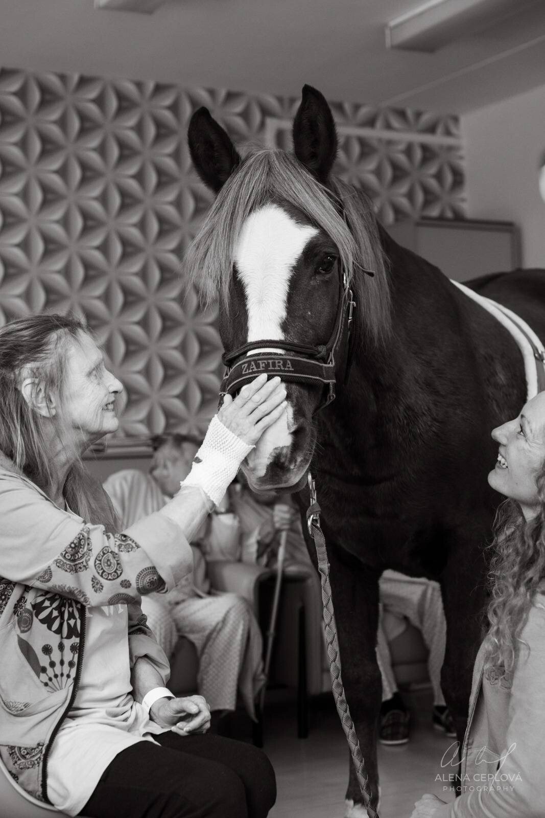 zdroj: Fakultní nemocnice Olomouc