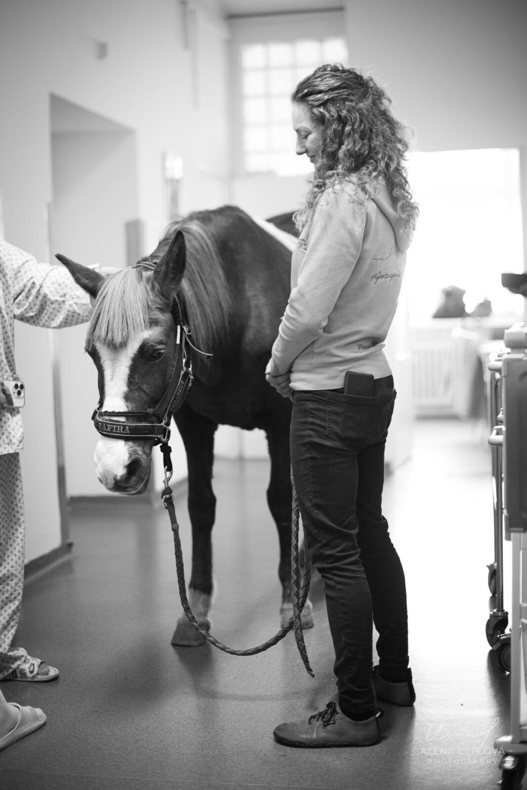 zdroj: Fakultní nemocnice Olomouc