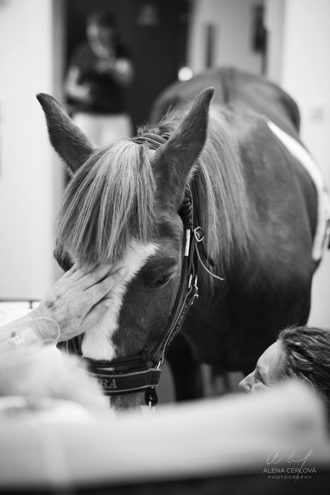 zdroj: Fakultní nemocnice Olomouc