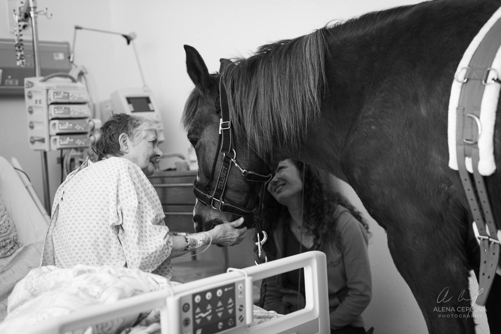 zdroj: Fakultní nemocnice Olomouc