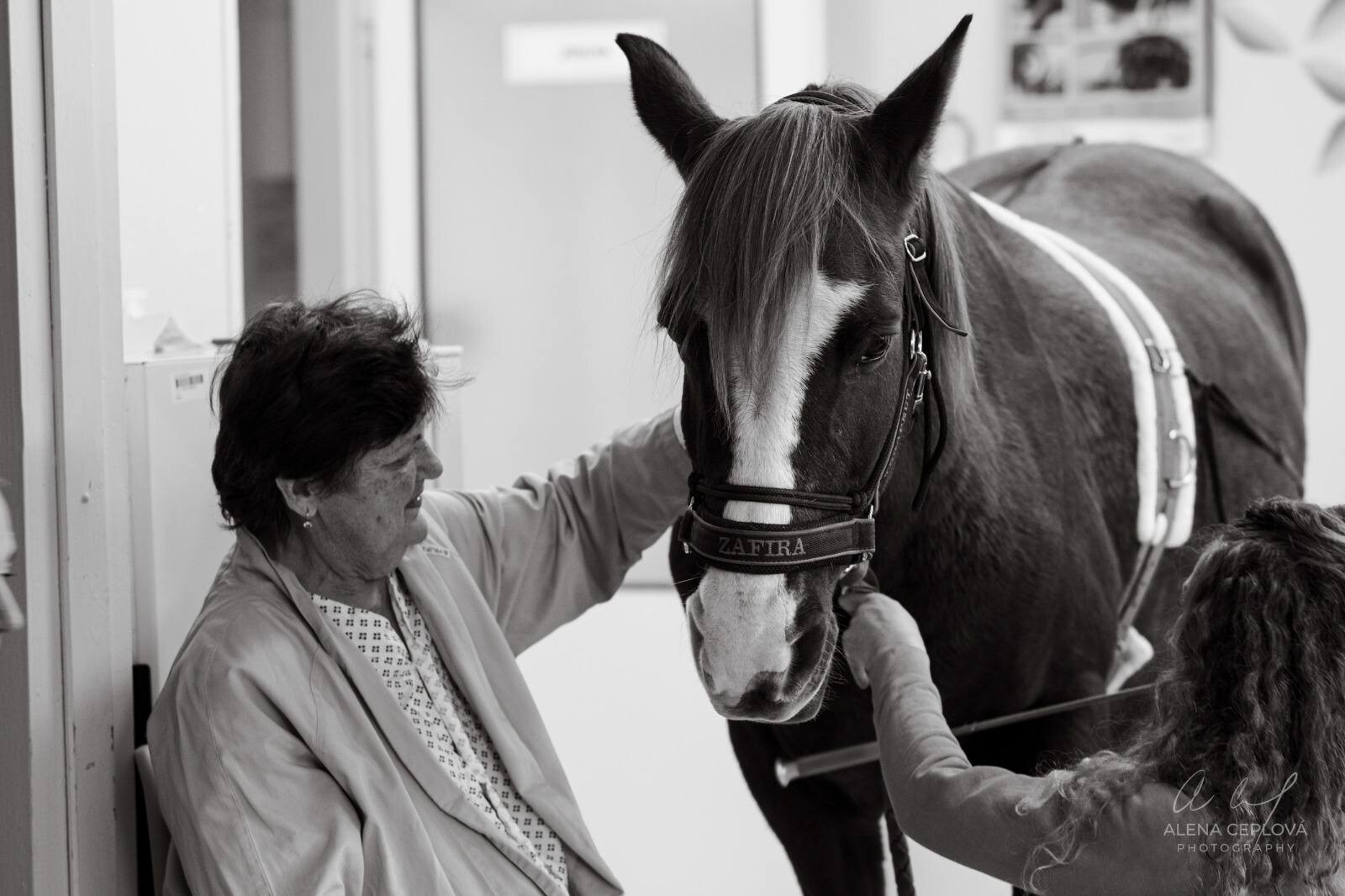 zdroj: Fakultní nemocnice Olomouc