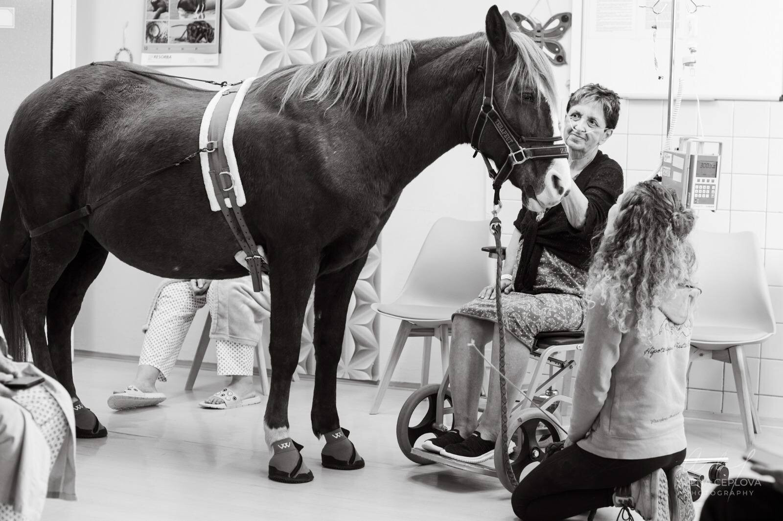 zdroj: Fakultní nemocnice Olomouc